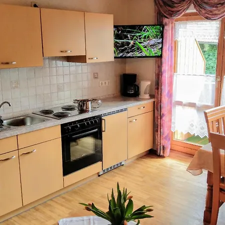 Apartament Wolf *