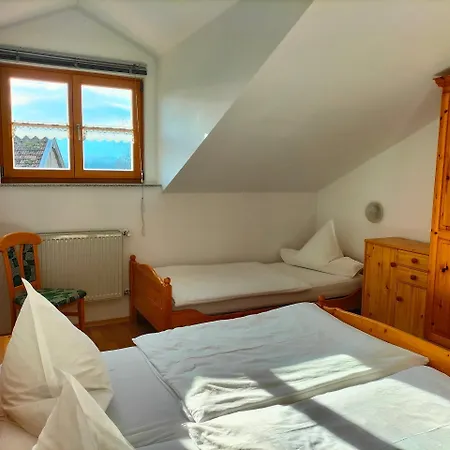 Wolf Apartament