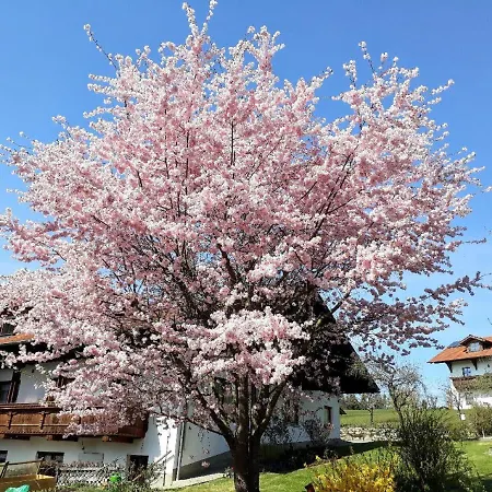 Wolf Apartament Viechtach